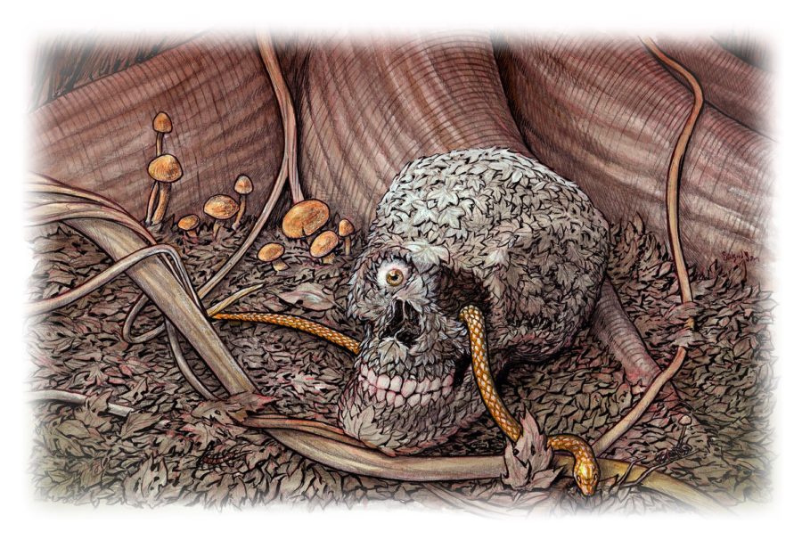 Skull of leaves: Class demo art.